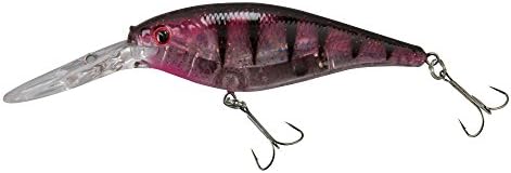 Berkley Flicker Shad Fishing Lure, Flashy Red Perch, 5/16 oz, 2 3/4in | 7cm Crankbaits, Size, Profile and Dive Depth Imitates Real Shad, Equipped with Fusion19 Hook by Berkley