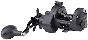 Penn Fathom II Star Drag Conventional Fishing Reel, Black Gold, 25N - Image 2