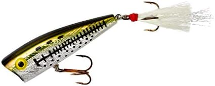 Rebel Lures Pop-R Topwater Popper Fishing Lure by Rebel