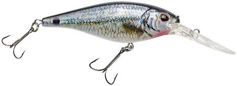 Berkley Flicker Shad Fishing Lure, HD Spottail Shiner, 3/16 oz, 2in | 5cm Crankbaits, Size, Profile and Dive Depth Imitates Real Shad, Equipped with Fusion19 Hook by Berkley