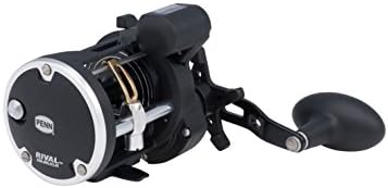 PENN Rival Level Wind Conventional Fishing Reel - Image 3