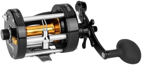 KastKing Rover Round Baitcasting Fishing Reels, Perfect Reel for Catfish by KastKing