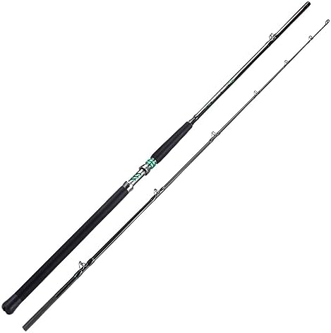 Sougayilang Travel Inshore & Surf Rod – Spinning & Casting Rods, 2-Piece Medium Heavy, High Density Graphite Blank, Zirconia Guides, Aluminum Reel Seat – Corrosion-Resistant for Catfish,Bass, Redfish by Sougayilang