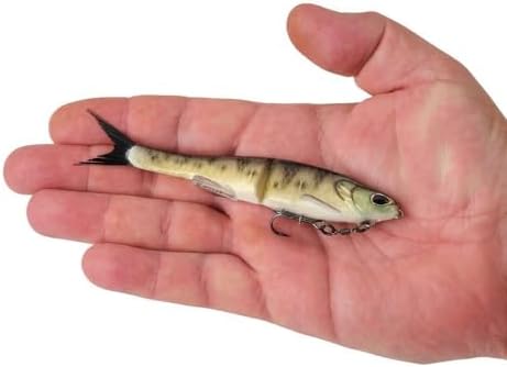 Berkley PowerBait Nessie Fishing Soft Bait - Image 2