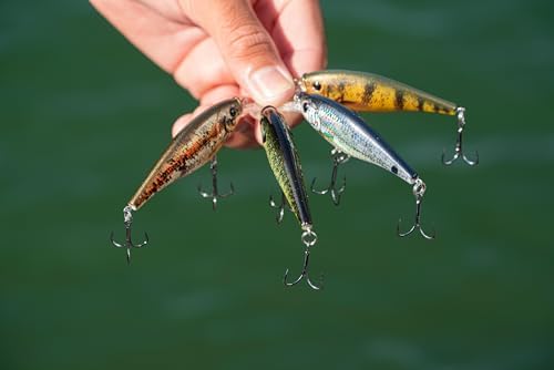 Berkley Flicker Shad Fishing Lure, Firetail Chrome Candy, 5/16 oz, 2 3/4in | 7cm Crankbaits, Size, Profile and Dive Depth Imitates Real Shad, Equipped with Fusion19 Hook - Image 4