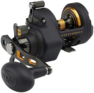 Penn Fathom II Star Drag Conventional Fishing Reel, Black Gold, 25N by Unknown