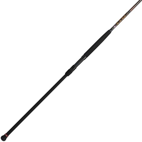 Penn Squadron IV Surf Spinning Rod by Unknown