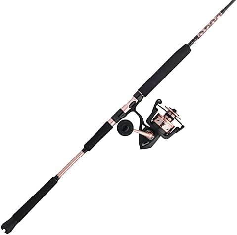 Penn Passion II Spinning Reel and Fishing Rod Combo by Unknown