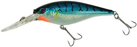 Berkley Flicker Shad Fishing Lure, Blue Tiger, 1/2 oz, 3 1/2in | 9cm Crankbaits, Size, Profile and Dive Depth Imitates Real Shad, Equipped with Fusion19 Hook - Image 2
