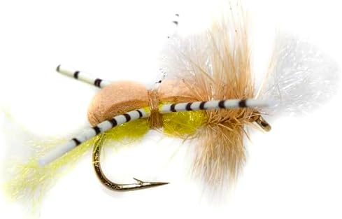 Outdoor Planet 12/24 Fly Fishing Flies Kit Fly Assortment, Dry Flies Wet Flies Streamers Nymphs Flies, Fly Fishing Assortment Kit for Bass Trout Salmon Fishing - Image 3