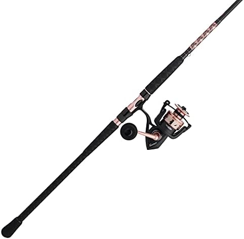 Penn Passion II Spinning Reel and Fishing Rod Combo by Unknown