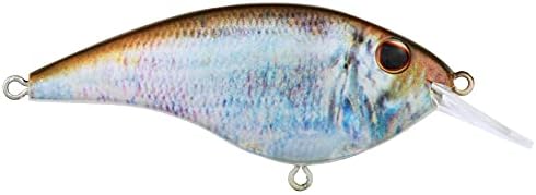 Berkley Frittside Fishing Hard Bait by Berkley