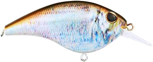 Berkley Frittside Fishing Hard Bait by Berkley
