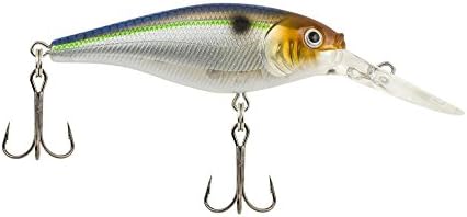 Berkley Flicker Shad Fishing Lure, Blue Smelt, 3/16 oz, 2in | 5cm Crankbaits, Size, Profile and Dive Depth Imitates Real Shad, Equipped with Fusion19 Hook - Image 2