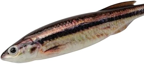 Berkley PowerBait Drip Swimmer Fishing Soft Bait - Image 2