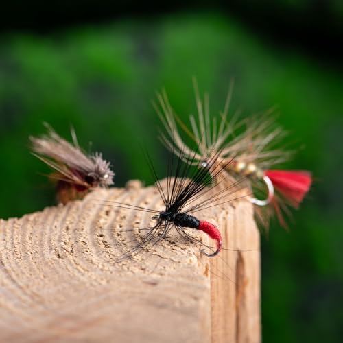 Goture 30pcs Fly Fishing Flies Kit Dry Wet Nymphs Assortment for Trout Bass - Image 3