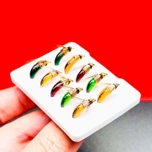 10Pc Wet Flies Bait Fly Fishing Flies for Bass Trout Pike Salmon Brass Head Caddis Nymph Handmade Fishing Bait Artificial Insect Fishing Lure - Image 5