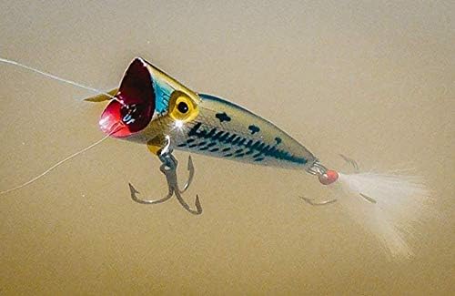 Rebel Lures Pop-R Topwater Popper Fishing Lure - Image 3