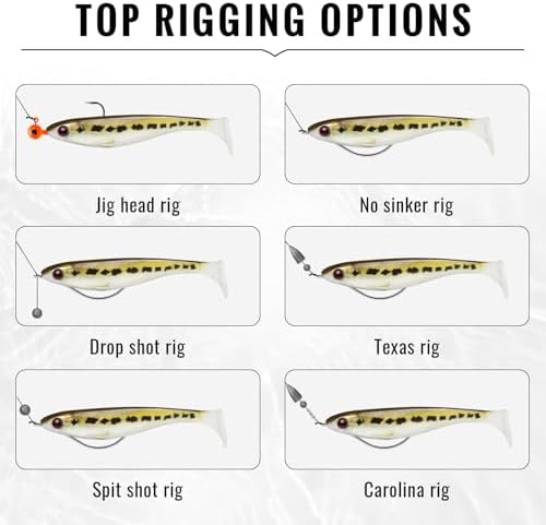 TRUSCEND Shadtale Easy Catch Soft Fishing Lures, Unique Vibration and Action for Various Rigs, Paddle Tail Swimbaits Trailer for Bass, Trout, Crappie, Walleye, Redfish, Saltwater & Freshwater Fishing - Image 4