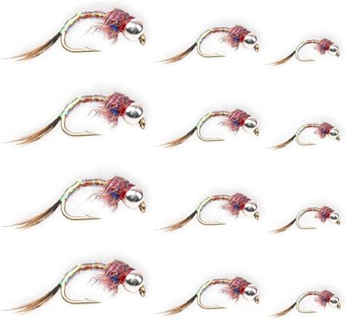 Rainbow Warrior Fly Nymph 12 Pack – Sizes 14, 16, 18 – Hand-Tied Trout Flies for Fly Fishing Kits and Fly Boxes, Wet Flies for Euro Nymphing, Tungsten Bead, Bass and Panfish by FloatingFeatherSupply