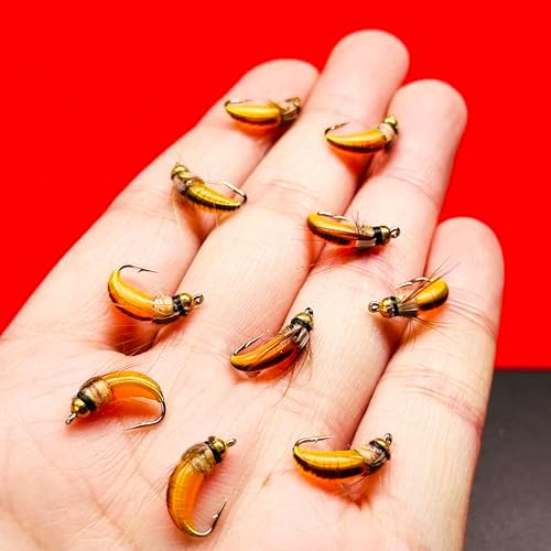 10Pc Wet Flies Bait Fly Fishing Flies for Bass Trout Pike Salmon Brass Head Caddis Nymph Handmade Fishing Bait Artificial Insect Fishing Lure - Image 7