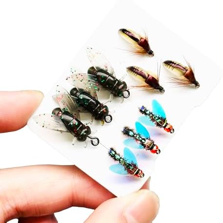 9Pc Fishing Wet Flies Bionics Worms/Midges/Moths/Flies Artificial Insect Fly Fishing Bait Salmon Trout Bass Fishing Hook Fly Fishing Lure by Qievcrme