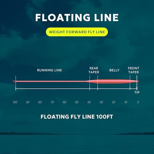SF Fly Fishing Line Weight Forward Floating Fly Line for Fly Fishing 3wt 4wt 5wt 6wt 7wt 8wt 100FT Double Welded Loops - Image 4