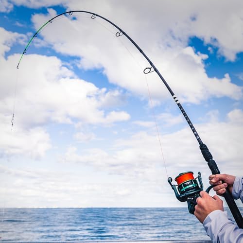 KastKing Kong Spinning & Casting Fishing Rods, Saltwater and Freshwater - Image 2