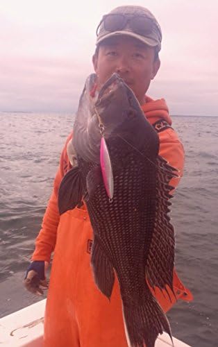 Jigging World Ghost Hunter Slow Pitch Conventional Jigging Rod - Image 5