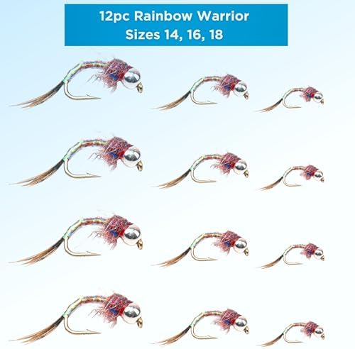 Rainbow Warrior Fly Nymph 12 Pack – Sizes 14, 16, 18 – Hand-Tied Trout Flies for Fly Fishing Kits and Fly Boxes, Wet Flies for Euro Nymphing, Tungsten Bead, Bass and Panfish - Image 2
