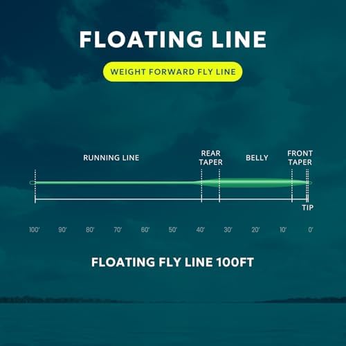SF Fly Fishing Line Weight Forward Floating Fly Line for Fly Fishing 3wt 4wt 5wt 6wt 7wt 8wt 100FT Double Welded Loops - Image 3