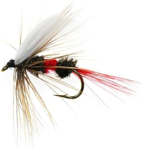 24Pcs Fly Fishing Flies Trout Lures Fishing Tackle Fly Fishing Flies with Boxed Trout Bass Artificial Fish Bait - Image 5