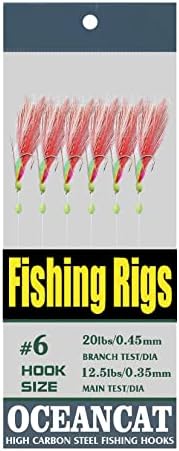 10 Packs 2pcs White & Red Feather & Rainbow Skin 6 Hooks Saltwater String Hook Fishing Luer Bait Rig Tackle - Image 3