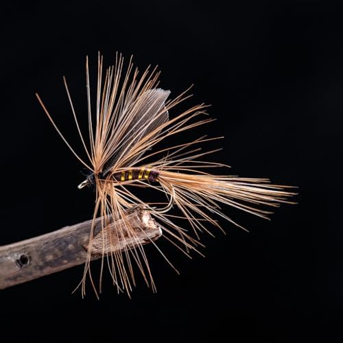 Goture 30pcs Fly Fishing Flies Kit Dry Wet Nymphs Assortment for Trout Bass - Image 4