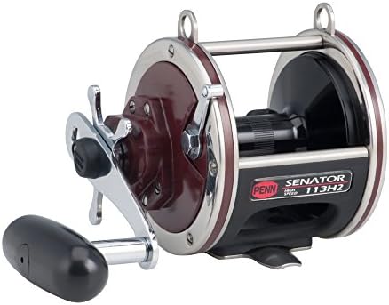 Penn Special Senator Star Drag Conventional Fishing Reel by Unknown