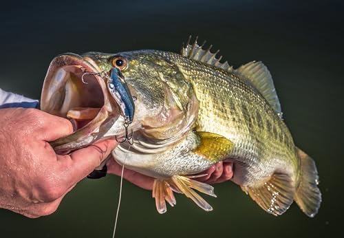Berkley Warpig Fishing Hard Bait - Image 3
