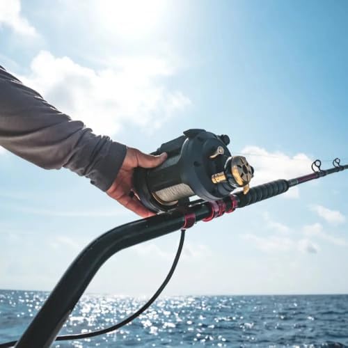 Daiwa Electric Reel Sea Power 800/1200 Various Types - Image 2