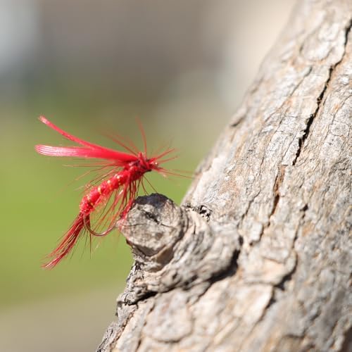 EXAURAFELIS Flying Flies kit Fishing Gear Fishing Lure 64/100/120PCS Dry Wet Flies Tackle Box Fly FishingLures for Bass Salmon Trout Freshwater Walleye Steelhead Bonefish Tarpon Saltwater - Image 3