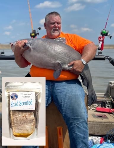 10oz Package (Chunks) - Preserved Real Pre-Cut Fish Bait, Multiple Scents - Image 3