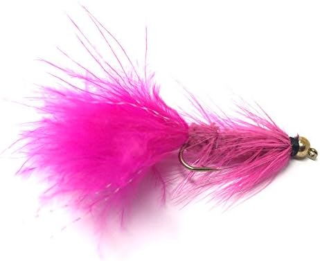 Feeder Creek Woolly Bugger Fly Fishing Flies 12pc Fly Fishing Assortment | Handmade Wet Flies for Fly Fishing in Various Patterns/Colors | Streamer Flies by FeederCreek