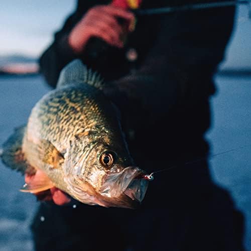 Northland Fishing Tackle Impulse Rigged Tungsten Bloodworm Jig for Ice Fishing Panfish, Assorted Sizes and Colors - Image 4