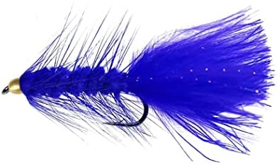 10Pcs Wooly Bugger Fly Fishing Flies for Trout, Bass and Salmon-Streamer Assortment Wet Flies - Image 5