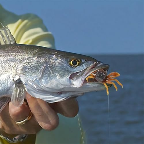 15PCS Crab Bait Kit - Artificial Silica Gel Lures, Lifelike 3D Soft Crab Lures for Freshwater Fishing - Image 2