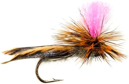 Outdoor Planet 12/16 / 24 Caddisflies/Mayfly/Attractor Nymph/Dragonflies and Damselflies/Stonefly/Hopper/Salmonfly/Dry Flies for Trout Fly Fishing Flies Lure Assortment - Image 5
