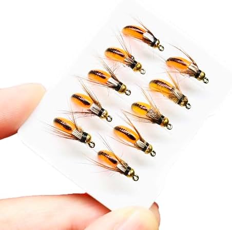10Pc Wet Flies Bait Fly Fishing Flies for Bass Trout Pike Salmon Brass Head Caddis Nymph Handmade Fishing Bait Artificial Insect Fishing Lure by Qievcrme