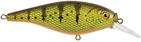 Berkley Flicker Shad Shallow by Berkley
