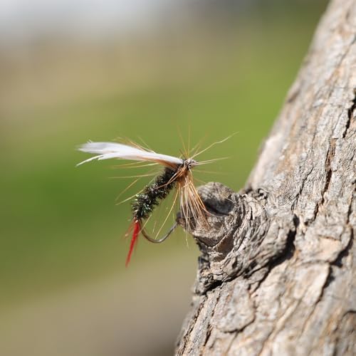 EXAURAFELIS Flying Flies kit Fishing Gear Fishing Lure 64/100/120PCS Dry Wet Flies Tackle Box Fly FishingLures for Bass Salmon Trout Freshwater Walleye Steelhead Bonefish Tarpon Saltwater - Image 4