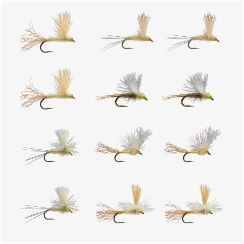 RIO Products Fly Fishing Flies Kit Assortment for Freshwater Fishing, Signature Flies for Trout, Bass, and Salmon, 7/11/12/13/15/20pcs by RIOPRODUCTS