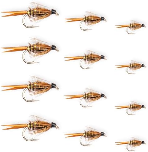 Prince Nymphs for Fly Fishing 12 Pack - Hook Sizes 12-18, Wet Fly Accessories, Trout Flies, Wet Fies Box and Tools, Fishing Flies for Bass and Panfish, Nymph by FloatingFeatherSupply