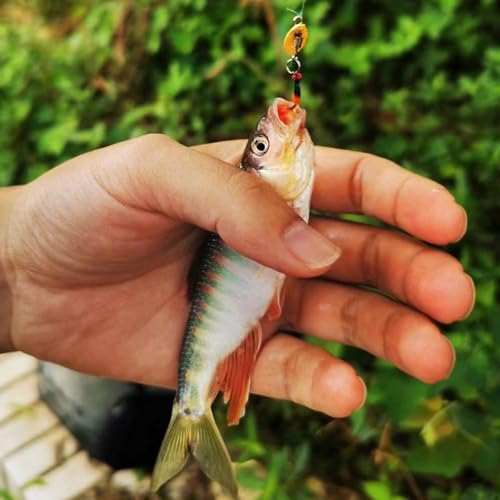 Dovesun Fly Fishing Trout Lures with Fishing Spinner 5PCS/10PCS - Image 5